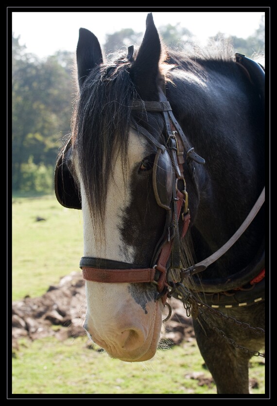 IMG_4930 EOS-1D Mark III
